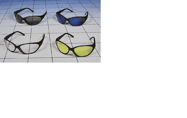Dolphin Glass.JPG